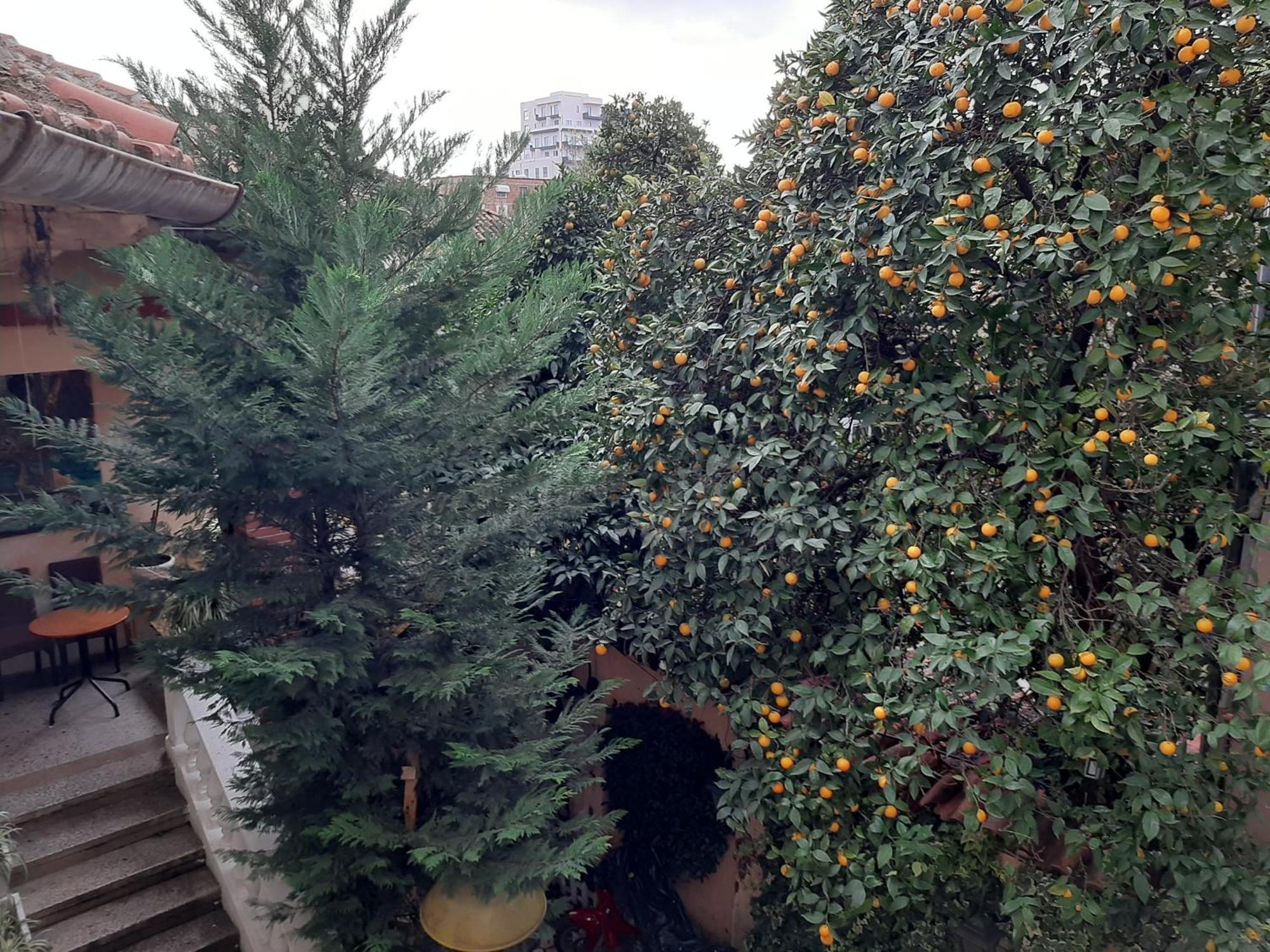 Enki'S Guesthouse Тирана Экстерьер фото